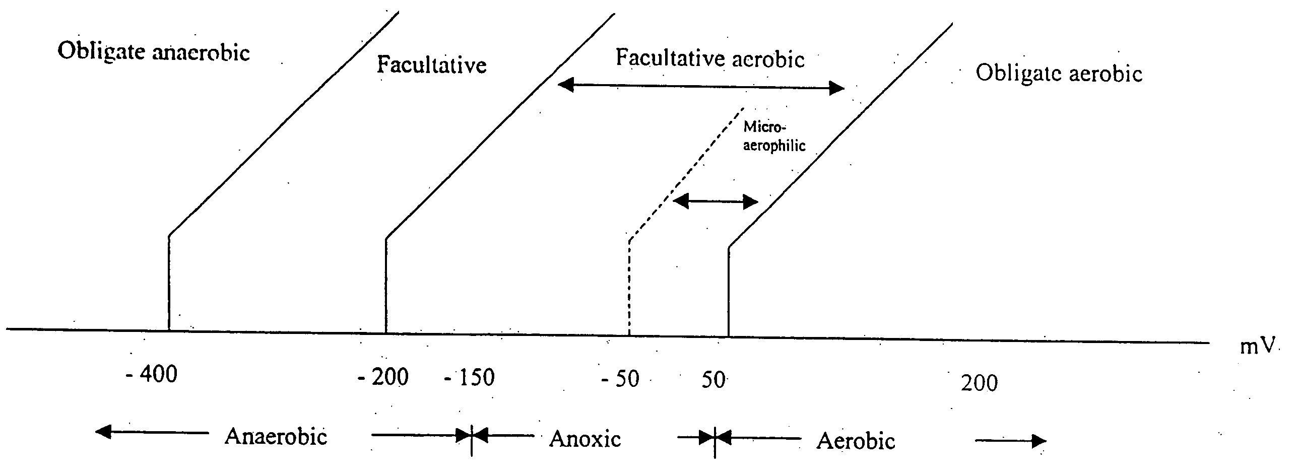 Apparatus and methods for control of waste treatment processes