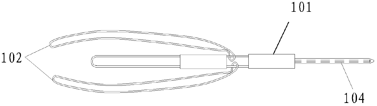 Branched sheath and blood vessel stent conveying and release device applying same