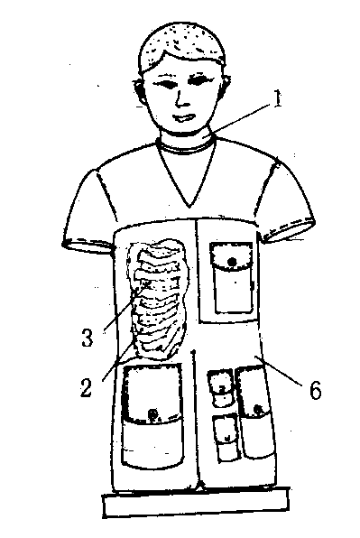 Simulation human body model for X-ray basic characteristic experiment
