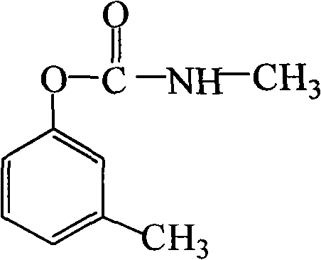Specific antibody against pesticide meta-tolyl-N-methylcarbamate