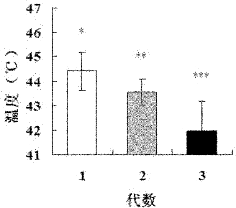 Screening method of febrile convulsion model rat and application thereof