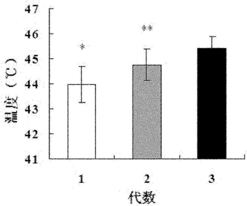 Screening method of febrile convulsion model rat and application thereof
