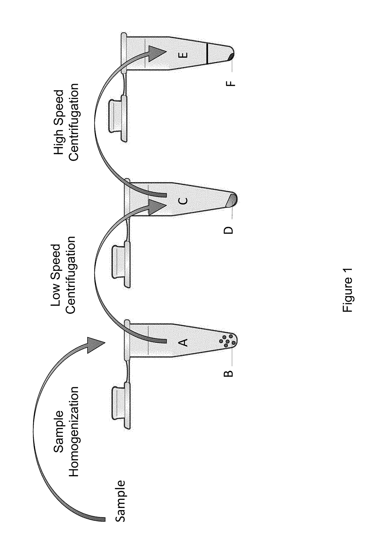 Methods and systems for isolating and identifying nucleic acid from a plurality of microorganisms and viruses