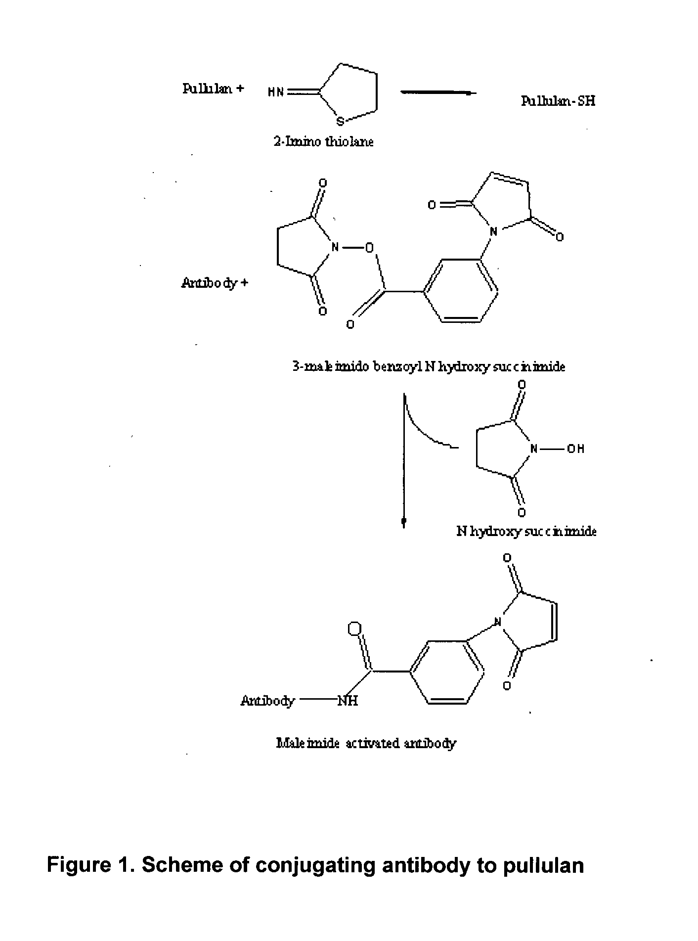 Method for in-vivo binding of chromatin fragments