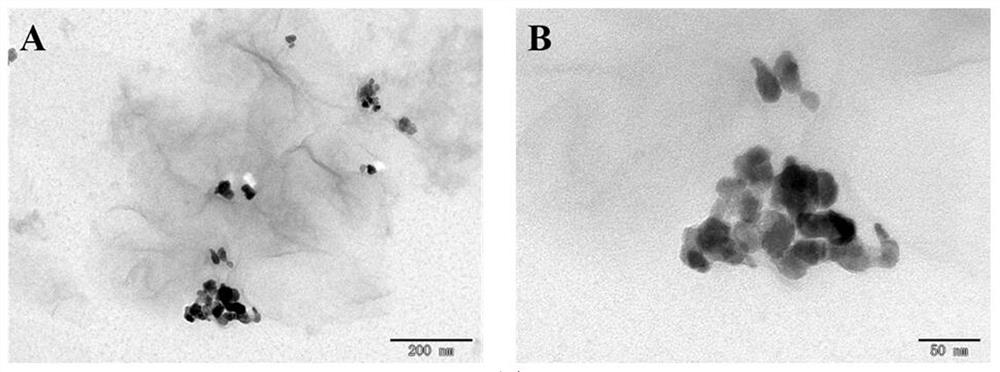 Electrochemical/colorimetric dual-mode GP73 detection method based on H-rGO-Mn3O4 nano-enzyme