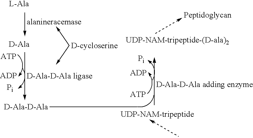 Heterocyclic compounds and uses thereof as D-alanyl-D-alanine ligase inhibitors