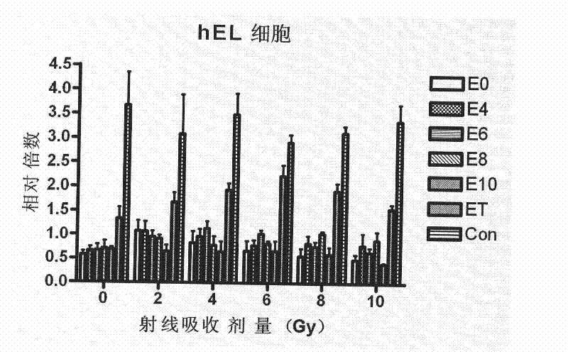 Radiation sensibility tumor-targeted promotor and uses thereof