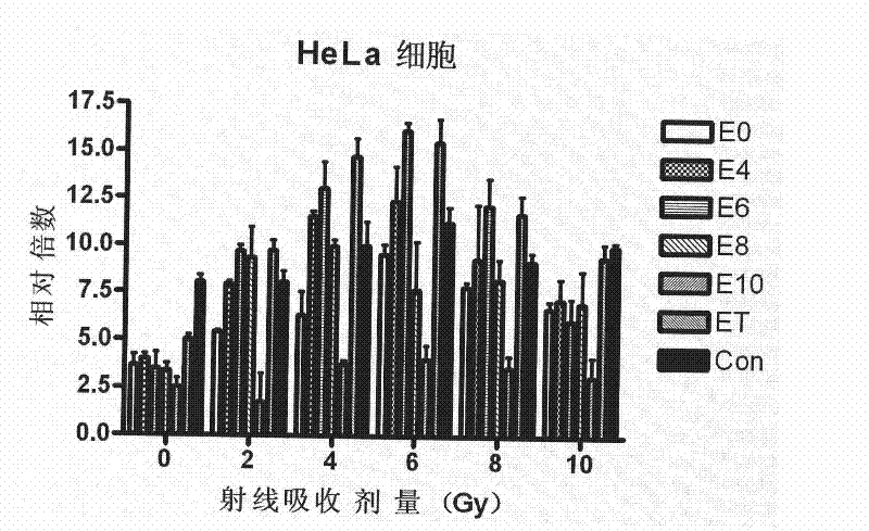 Radiation sensibility tumor-targeted promotor and uses thereof