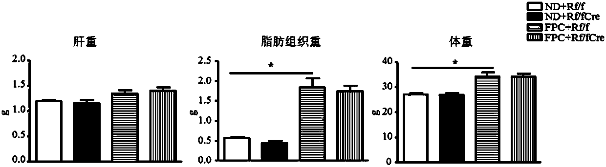 Macrophage-targeted mTORC1 activator for controlling NASH progression