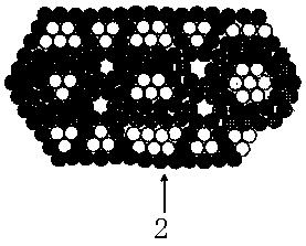 Device of compound eye metal structure and method thereof