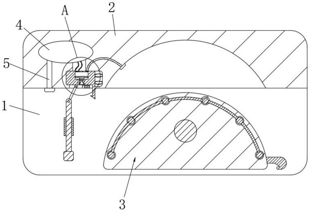 Luggage placing plate for rail transit device