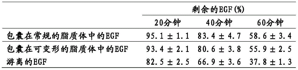 Use of a topical composition containing epidermal growth factor (EGF) for diabetic foot amputation prevention