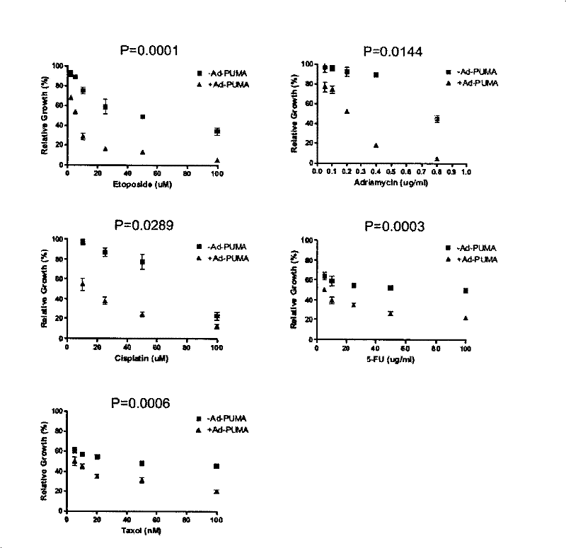 Use of PUMA in tumor chemoradiotherapy sensibilization