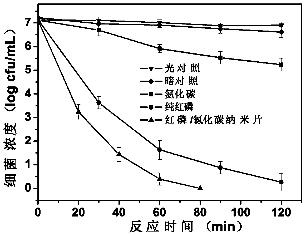 Red phosphorus/graphite phase carbon nitride composite nanosheet and preparation method and application thereof