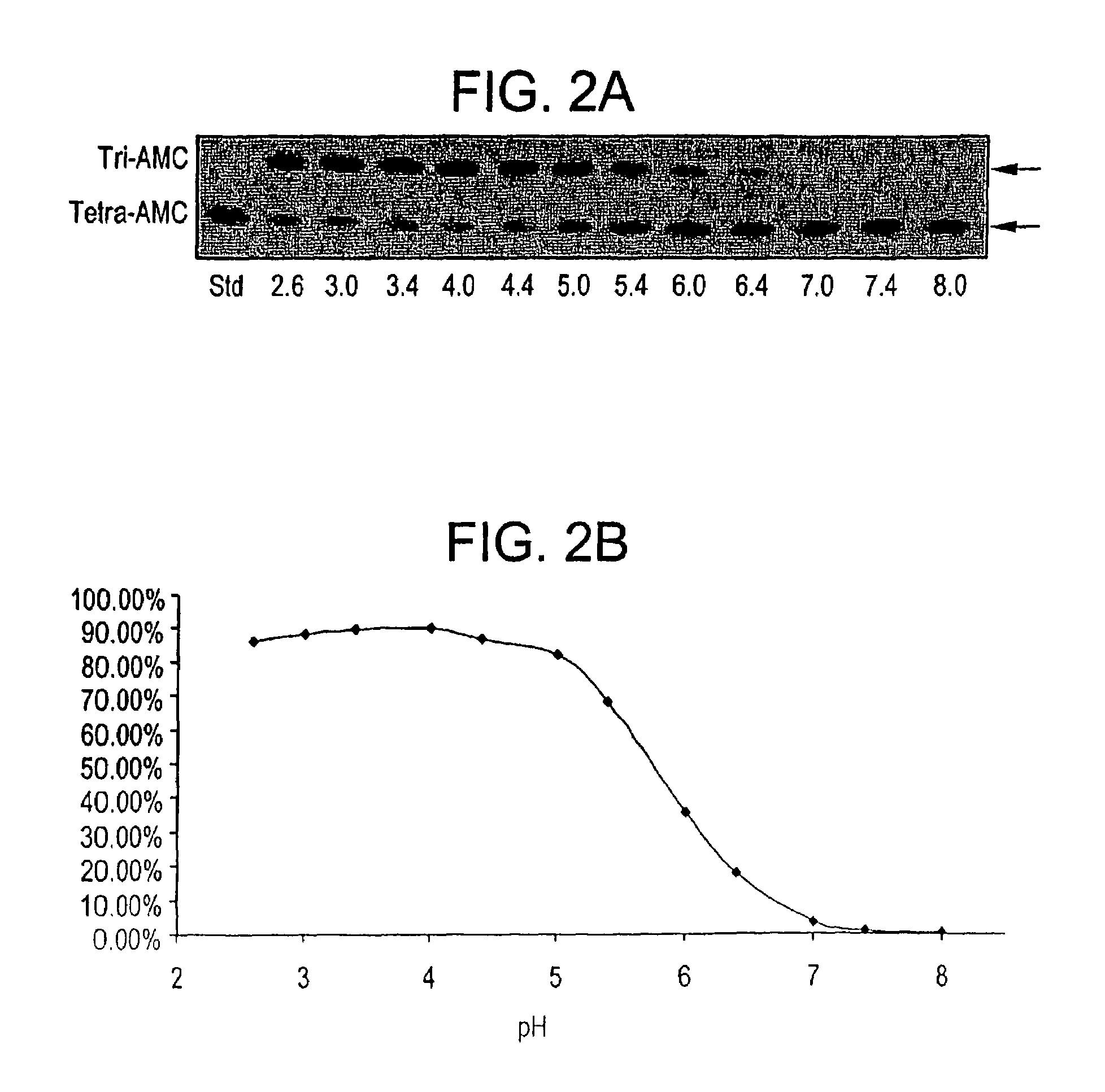 Compositions and methods for modifying blood cell carbohydrates