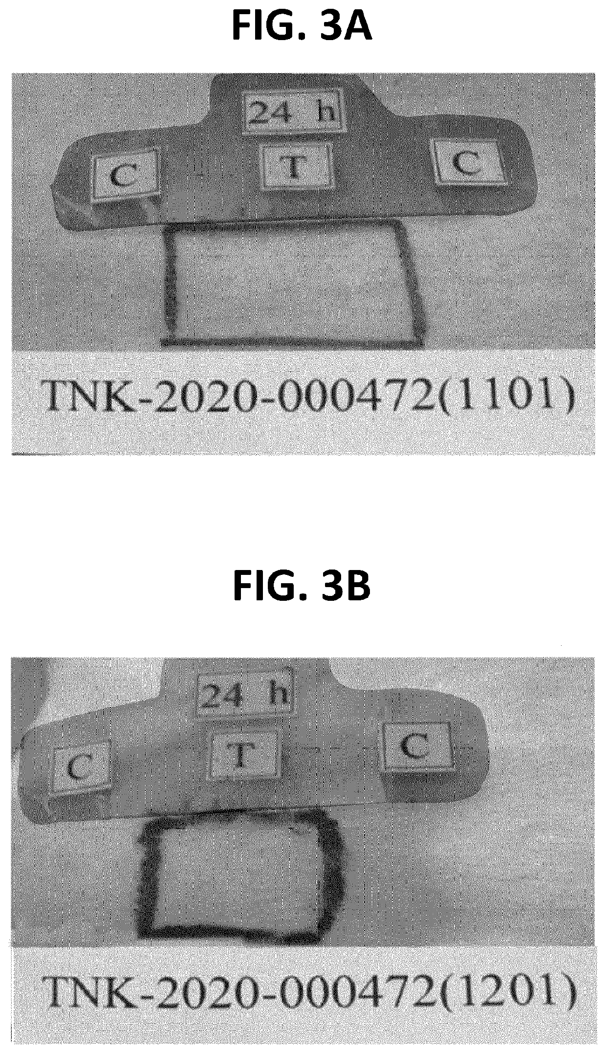 Eco-friendly biodegradable adhesive composition