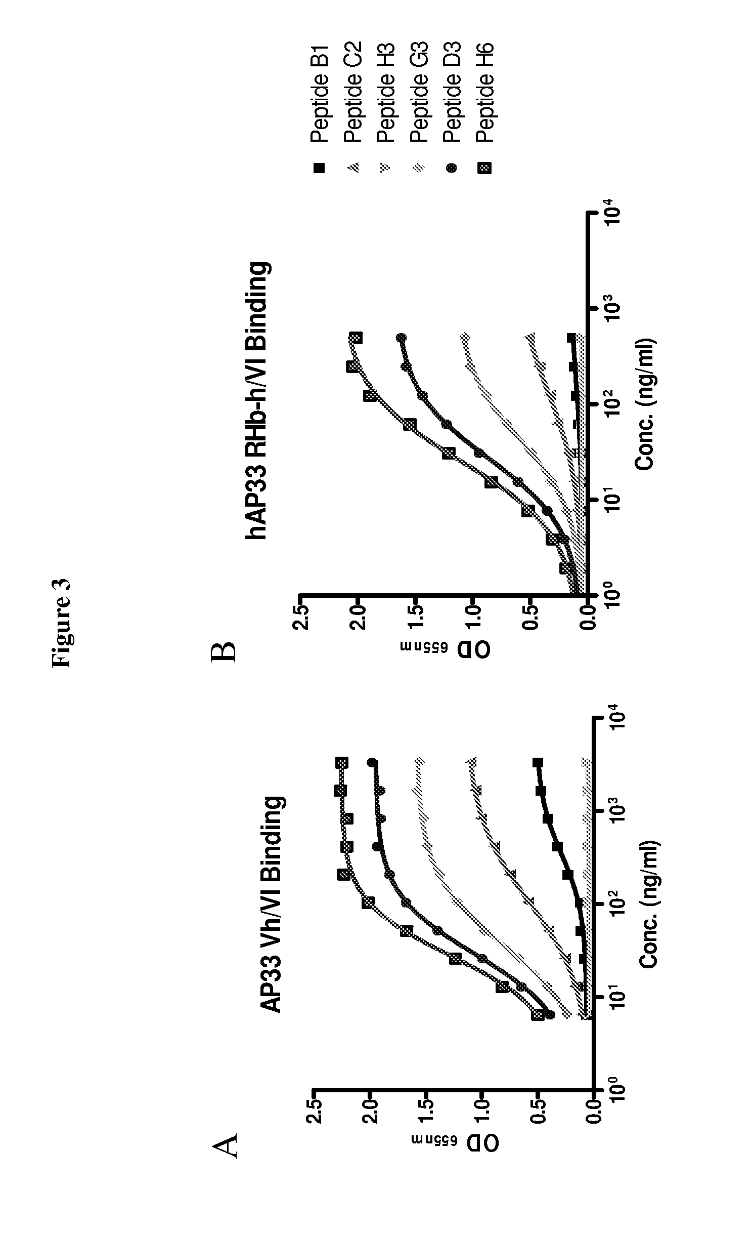 Hepatitis C virus antibodies