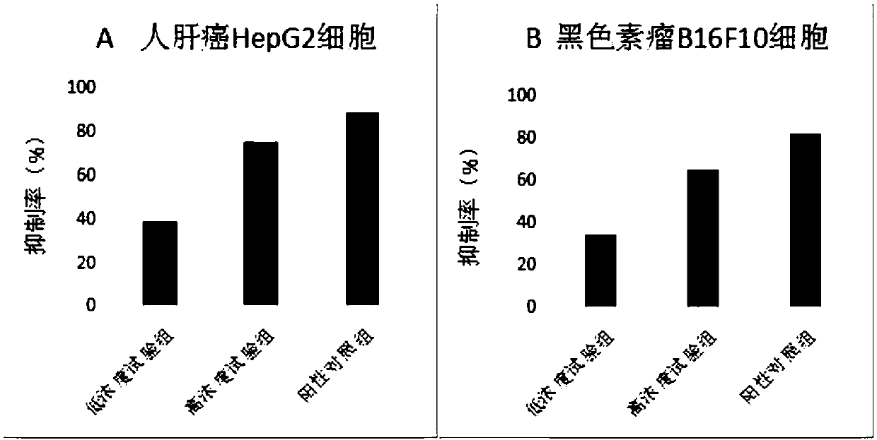 Targeted anti-cancer polypeptide for inhibiting signal transmission of MKK7-JNK pathway and application of polypeptide