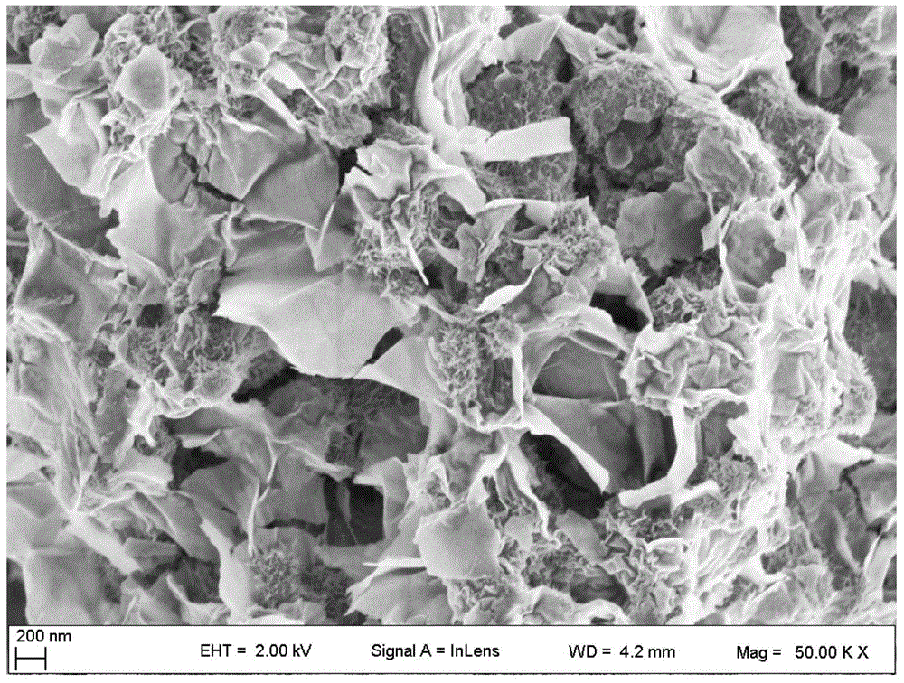 N-doped porous carbon/NiO composite material and preparation method therefor