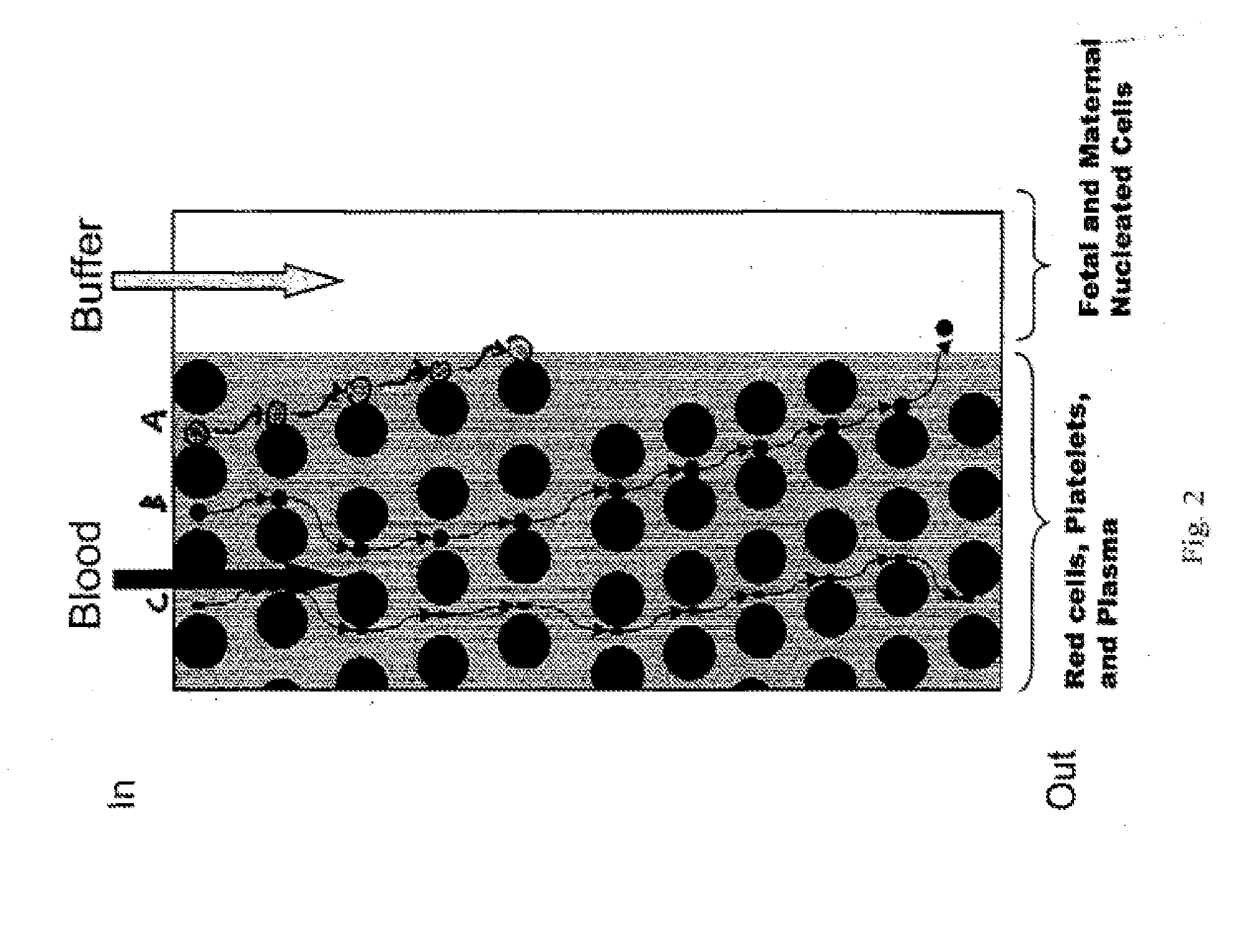 System for cell enrichment