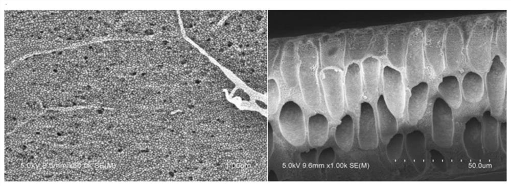 A kind of preparation method of TB ultrafiltration membrane, the treatment method of oily waste water