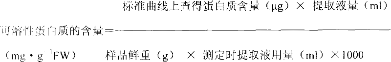 Method for substituting for flaveria bidentis by utilizing grain amaranth