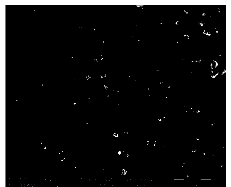 Rapid preparation method for A-type nano zeolite molecular sieve