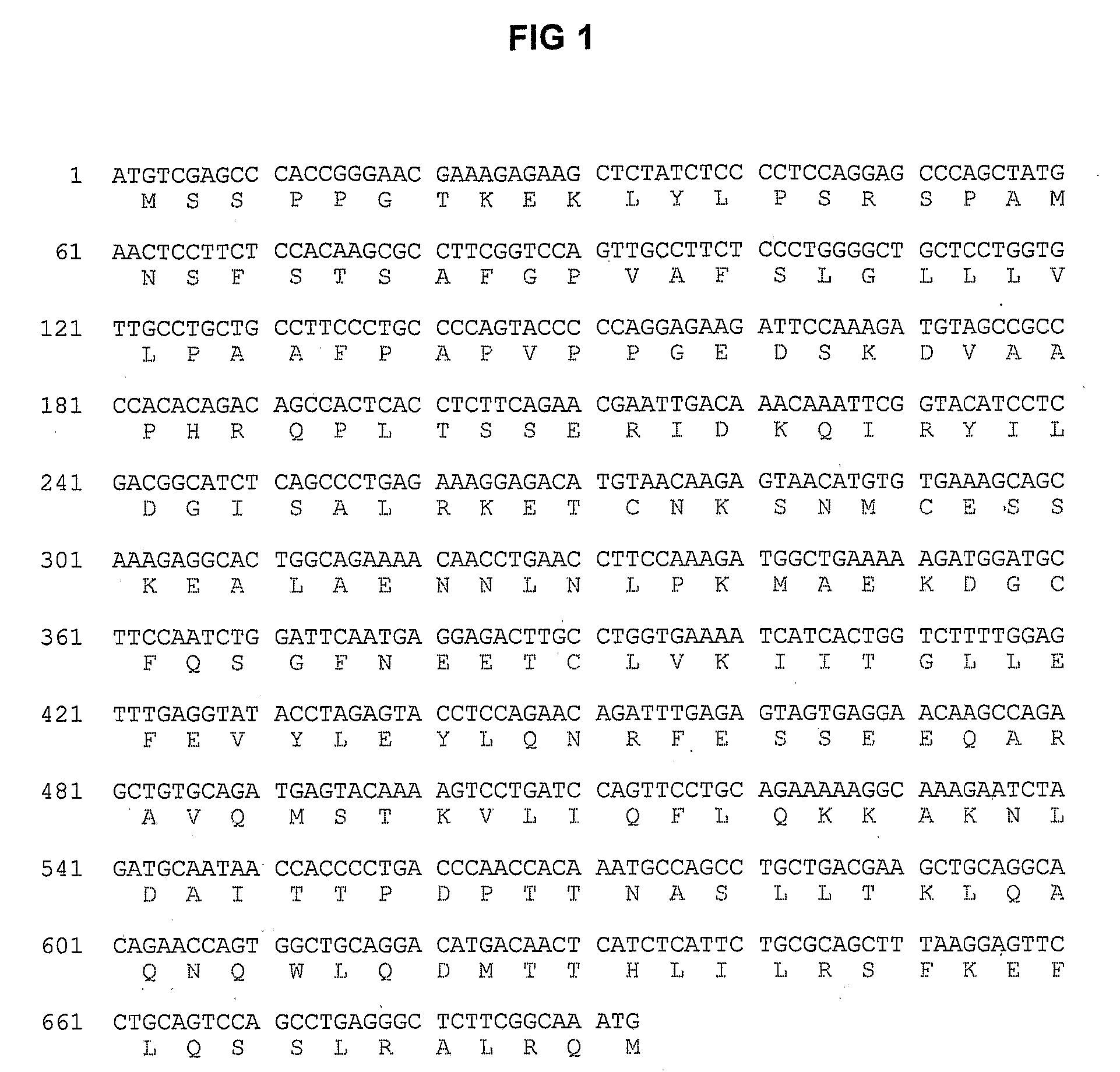 Capsules Containing Transiently Transfected Cells, Method for Preparing Same and Uses Thereof