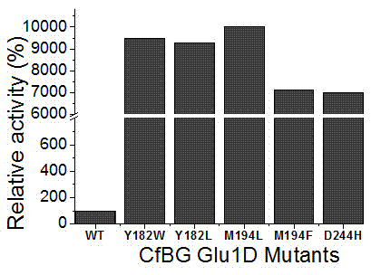 Beta-glucosidase D mutant as well as expression plasmid and recombinant bacteria thereof