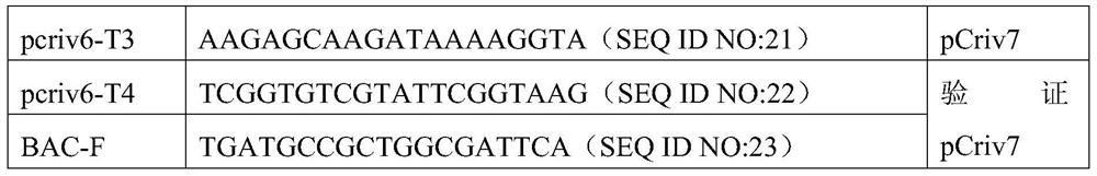 CRISPR/Cas9-mediated method for splicing large fragments of DNA