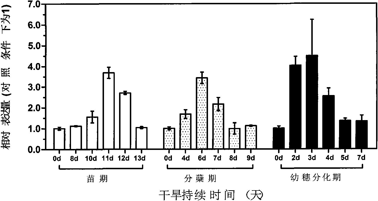 Rice protein OsAHL and use thereof