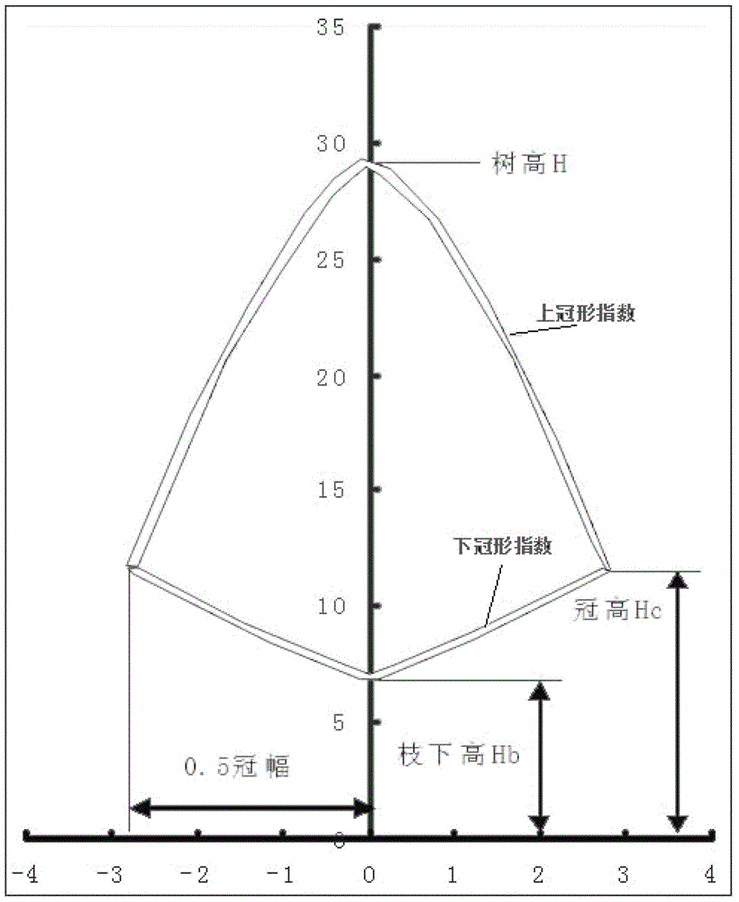 A Method for Fast Acquisition of Tree Morphological Model Parameters Based on Photogrammetry