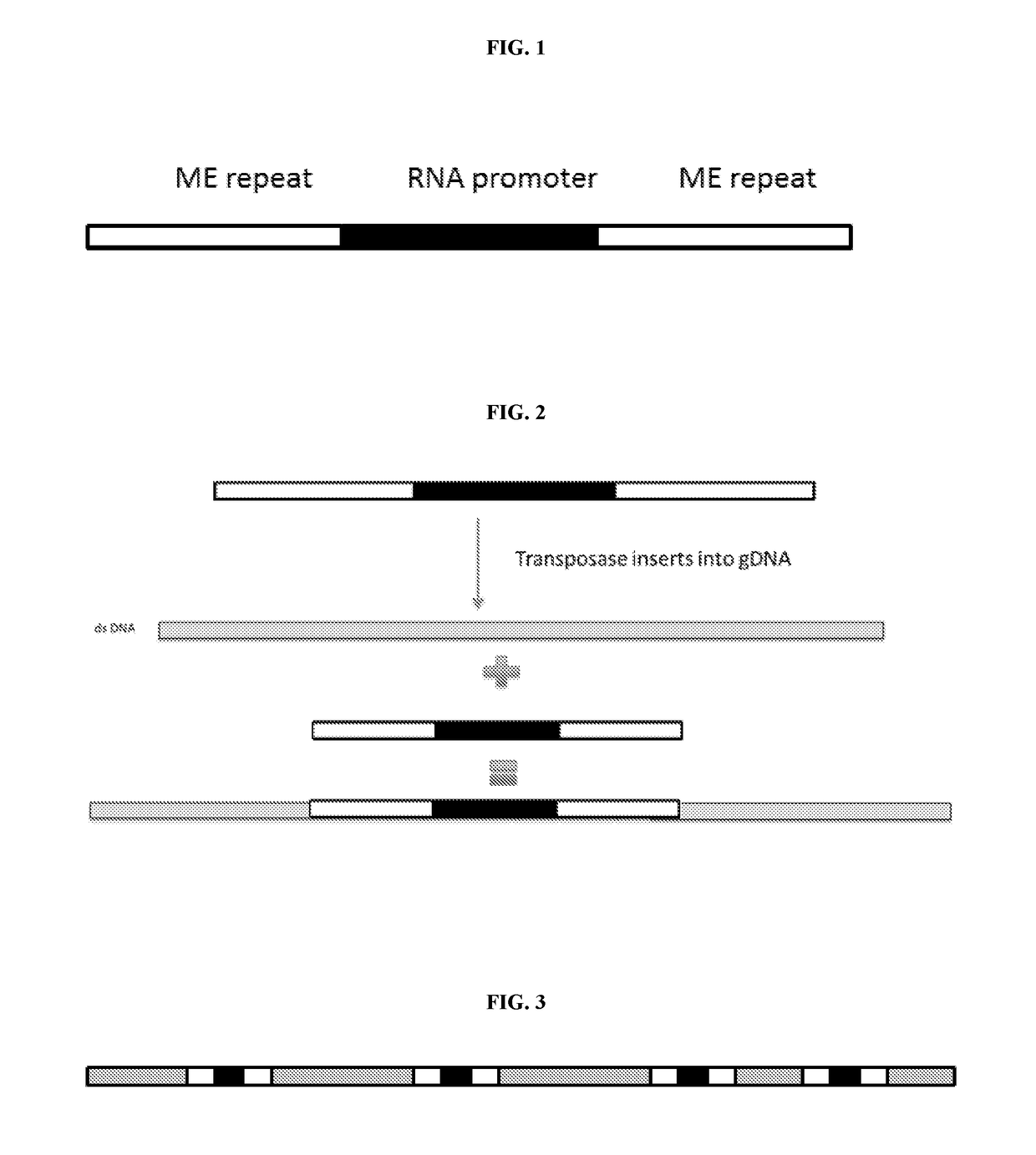 Methods and compositions for in silico long read sequencing