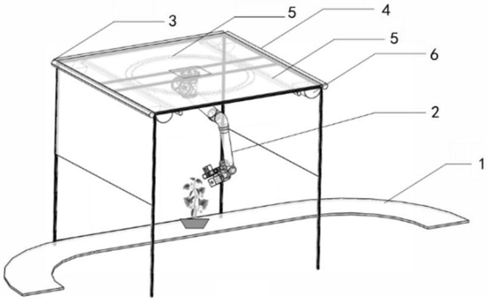 Conveyor belt type crop phenotype acquisition method, system and device