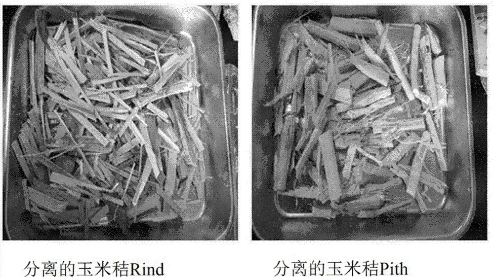 Nanocellulose utilizing non-lignocellulosic biomass, and cosmetic composition and superabsorbent material containing same