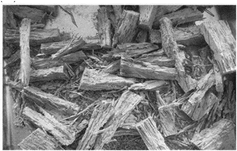 Nanocellulose utilizing non-lignocellulosic biomass, and cosmetic composition and superabsorbent material containing same