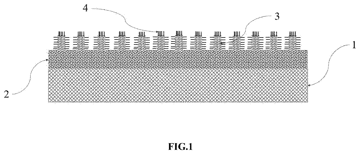 Fuel cell electrode with catalysts grown in situ on ordered structure microporous layer and method for preparing membrane electrode assembly