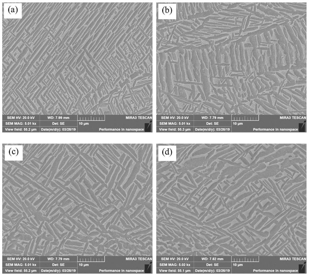 Medium-strength and high-toughness titanium alloy with yield strength of 800MPa for ocean engineering and preparation process of medium-strength and high-toughness titanium alloy