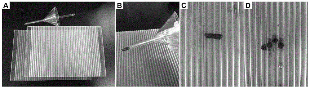 A kind of preparation method of zero-valent iron ball