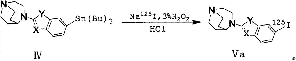 Alpha7 nicotinic acetylcholine receptor ligand and preparation method thereof