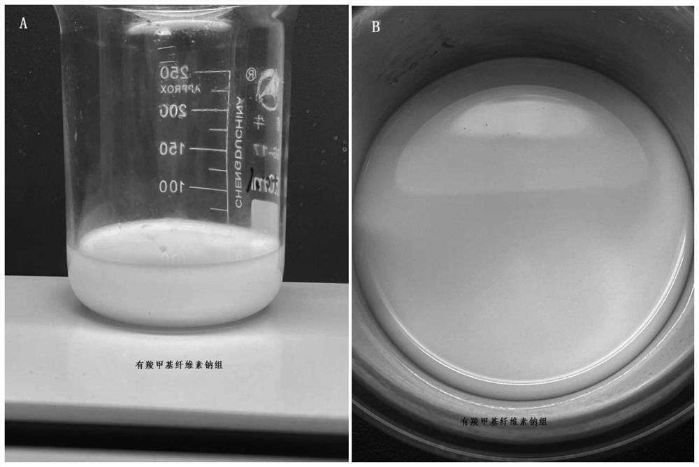 Application of sodium carboxymethyl cellulose in improvement of amoxicillin colistin sulfate injection