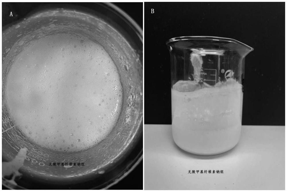 Application of sodium carboxymethyl cellulose in improvement of amoxicillin colistin sulfate injection