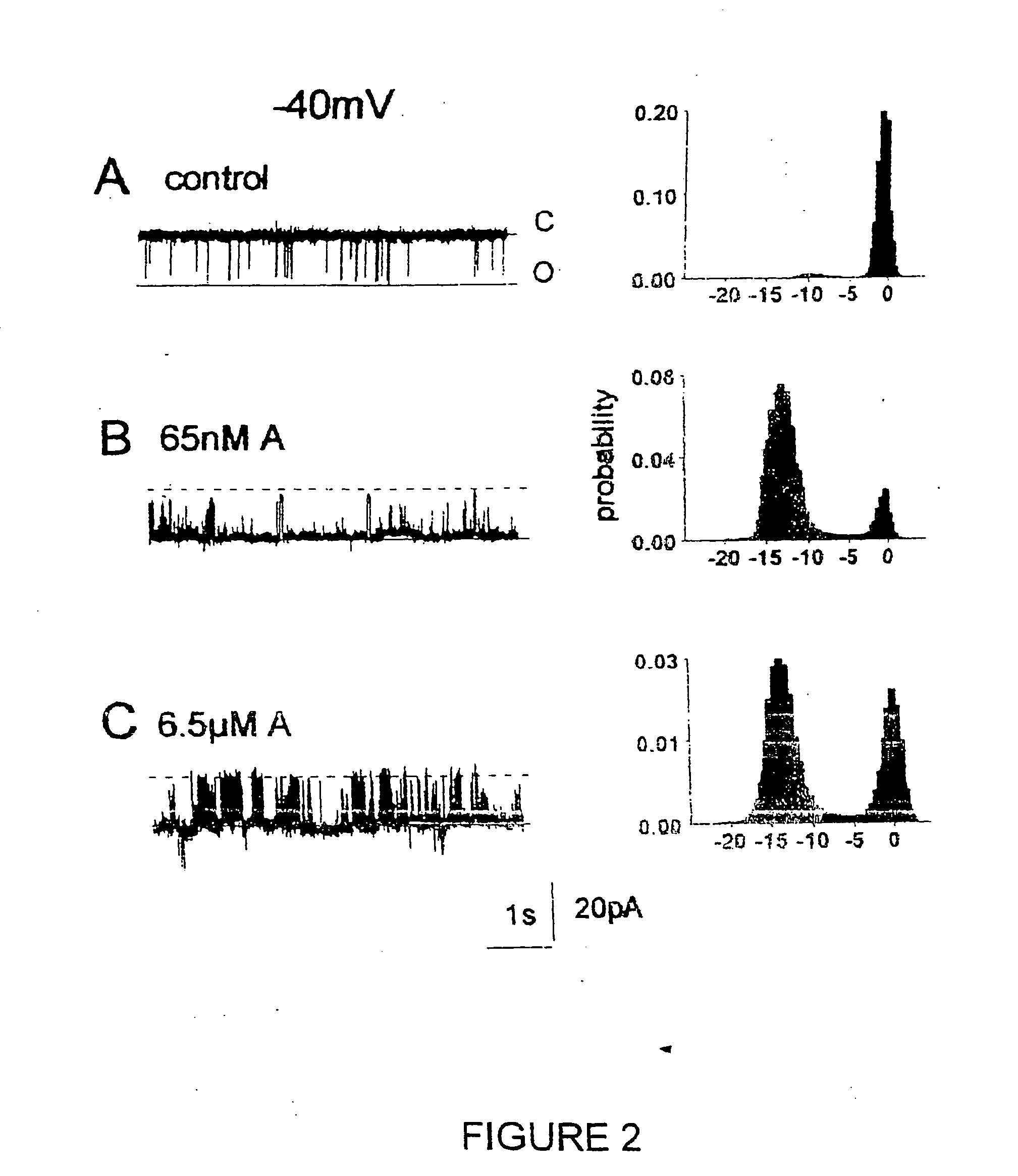 Method of modulating the activity of calcium channels in cardiac cells and reagents therefor