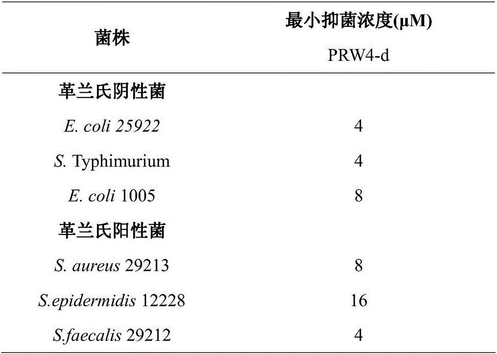 D-amino acid antibacterial peptide PRW4-d and preparation method and application thereof