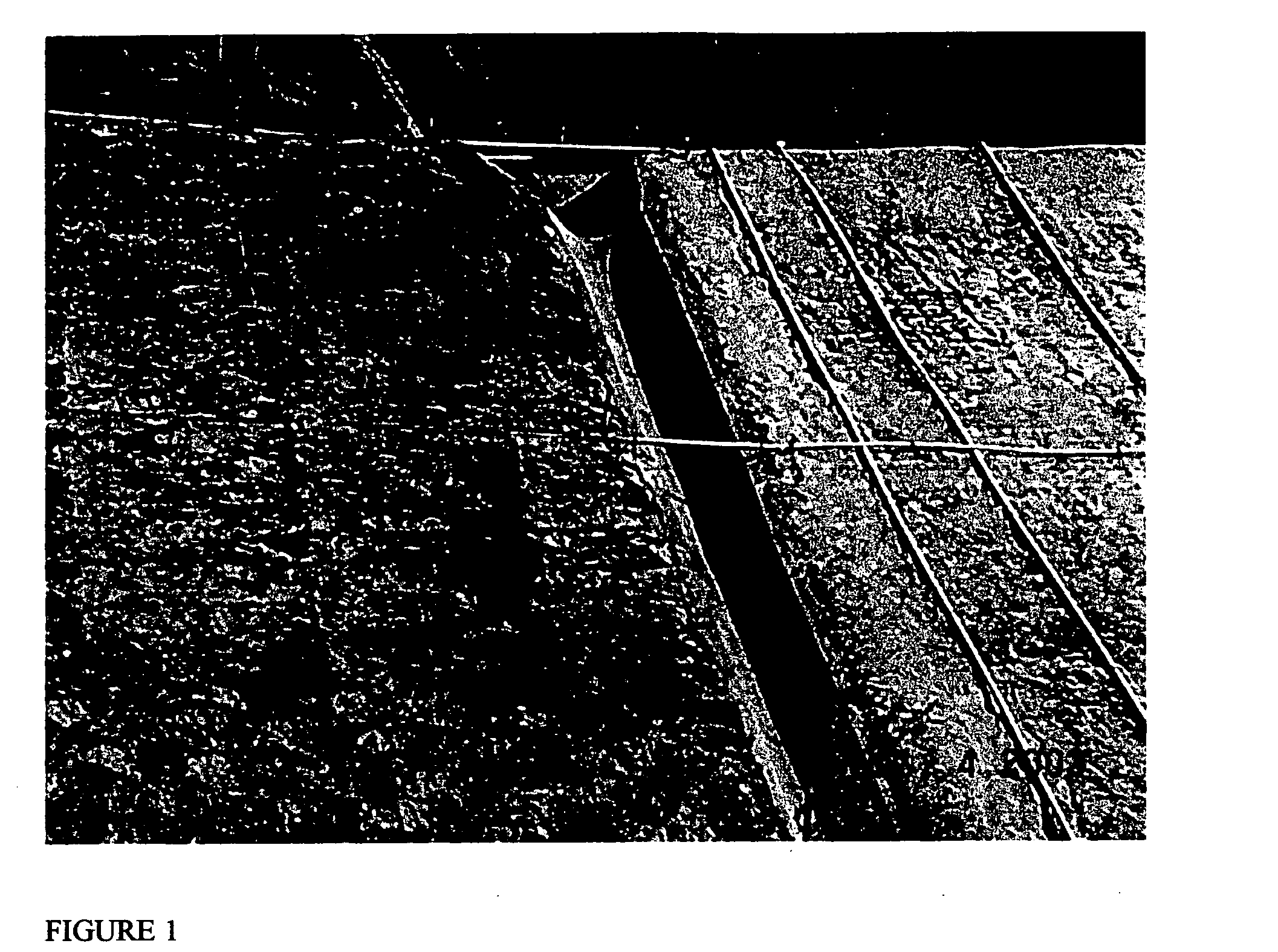 Compositions and methods for resisting soil erosion and fire retardation