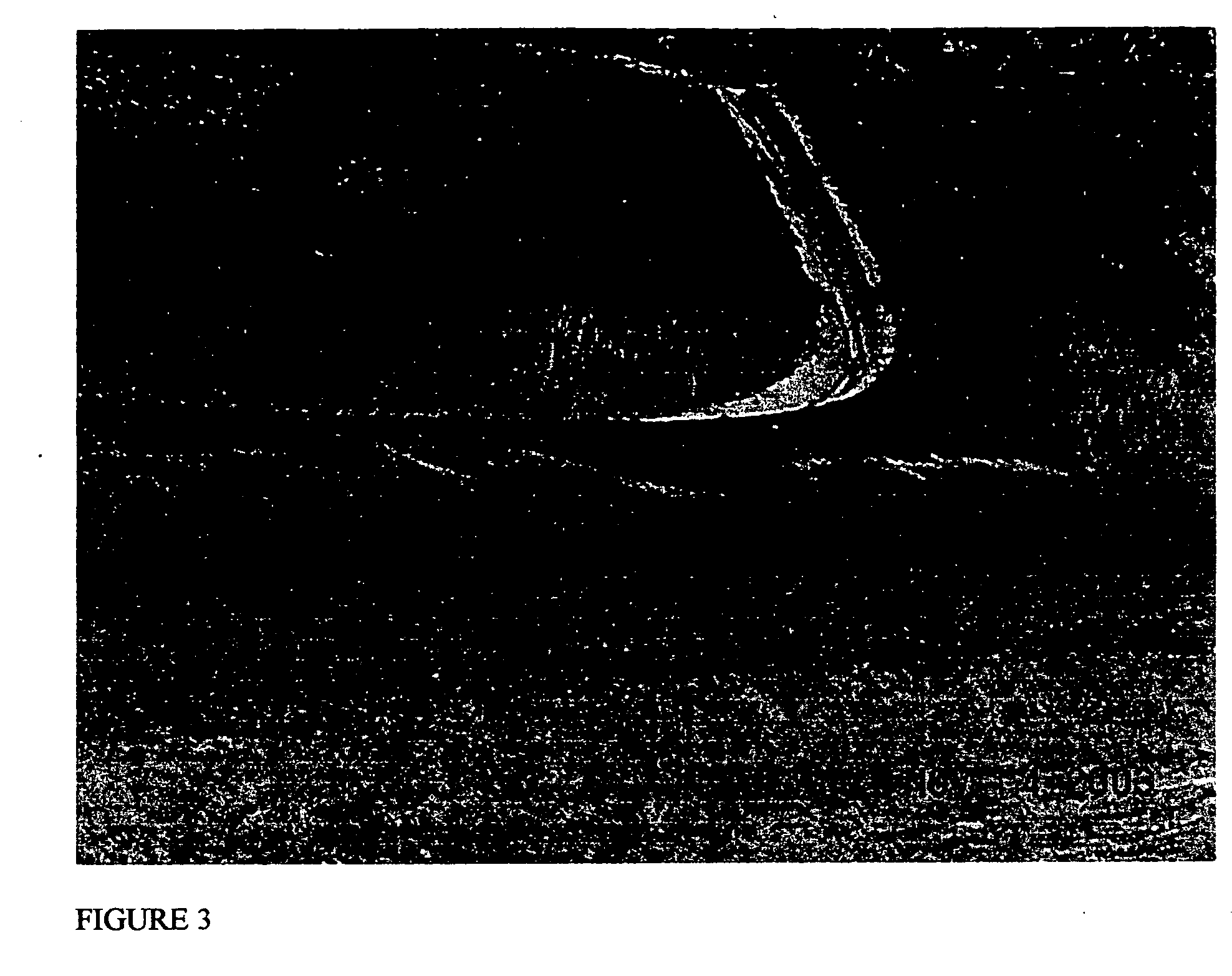 Compositions and methods for resisting soil erosion and fire retardation