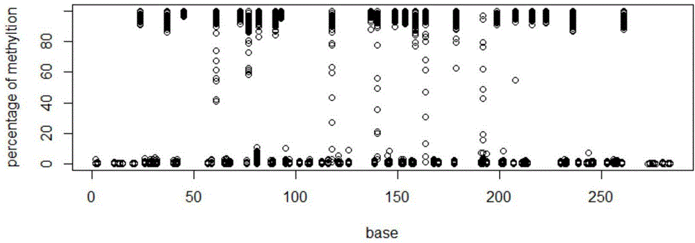 Multi-sample and multi-segment DNA methylation high-throughput sequencing method
