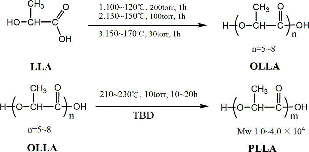 Process method for synthesizing medical biodegradable polylactic acid by performing polycondensation on lactic acid through catalysis of 1,5,7-triazabicyclo[4.4.0]decane-5-ene (TBD)