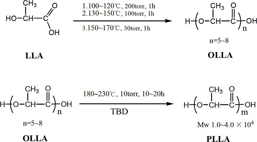 Process method for synthesizing medical biodegradable polylactic acid by performing polycondensation on lactic acid through catalysis of 1,5,7-triazabicyclo[4.4.0]decane-5-ene (TBD)