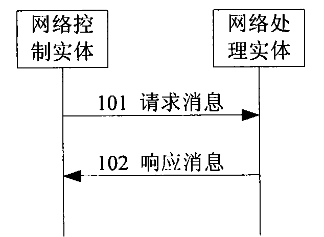 Parameter processing method, network processing entity and network control entity